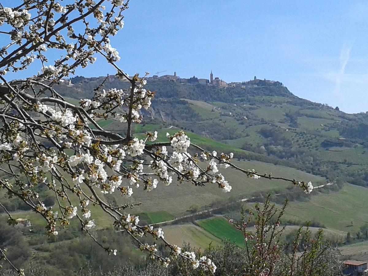 Il Podere Del Nonno Panzió Ripatransone Kültér fotó